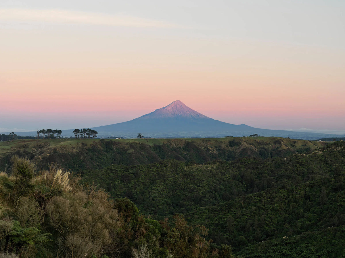Ruchers Egmont Honey près du Mont Taranaki